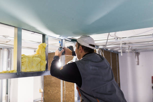 Types of Insulation We Offer in Pleasant Prairie, WI