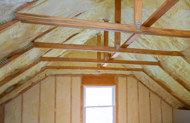 Best Cellulose Insulation in Pleasant Prairie, WI