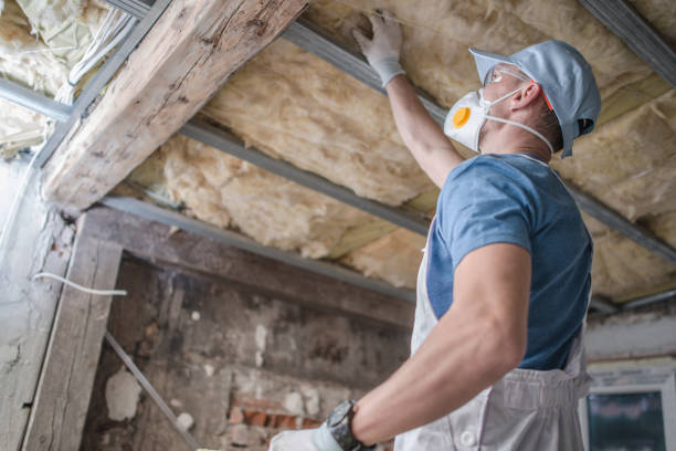 Best Blown-in Insulation in Pleasant Prairie, WI