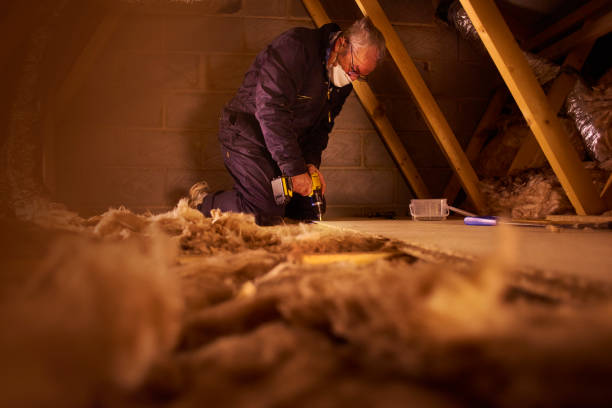 Best Specialized Insulation Services in Pleasant Prairie, WI
